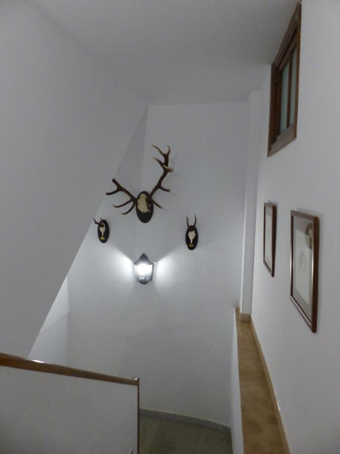 Casa Altemir * Campo (Huesca)